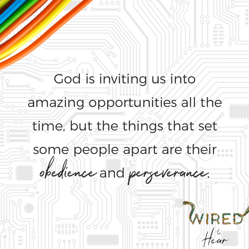 Bolz Ministries Wired to Hear